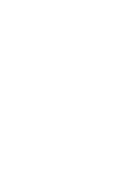 www.noitorino.it